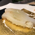 第三春美鮨 - 障泥烏賊　2.2kg　定置網漁　神奈川県佐島