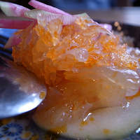 雪梅花 菜根譚 - くらげ