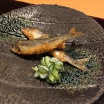 花小路 さわ田 - 稚鮎