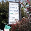アンティコ バジリカ
