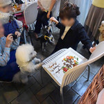 エビスエスクラッシコ - お口もお手てもドロドロ