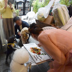 エビスエスクラッシコ - ひとりずつ順番よ〜♡