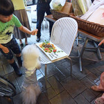 エビスエスクラッシコ - ちい〜ちゃなお口でネッ！