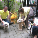 エビスエスクラッシコ - やっと雨が上がりました