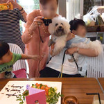 エビスエスクラッシコ - バースデー・ケーキの撮影