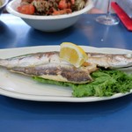 陸奥 こむらさき - カマスの塩焼き