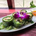 ドゥワンチャン - 「ドゥワンチャン特製生春巻き」前菜的なヘルシーな一品。