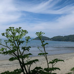 ドゥワンチャン - 座った席からの眺め。海は景色も良いけど、波の音も癒やしてくれます。