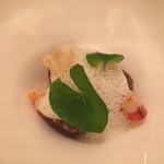 カンテサンス - 