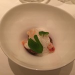 カンテサンス - 