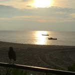 Shangri-La's Rasa Sayang Resort & Spa - 夕陽と小鳥