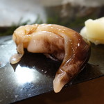 鮨松榮 - 生鳥貝 丹後