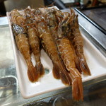 鮨松榮 - 猛者海老