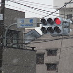 丸千葉 - 雪の泪橋