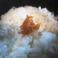 うおまん 西梅田本店 - 201102　訪問　御飯にはチリメンジャコ