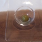 stesso e Magari CHIC - 2017/5