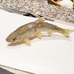 天麩羅 巽 - 稚鮎