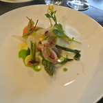 アキヒサ ハンダ - 羅臼産トキシラズ、函館産ヤリイカの温サラダ仕立て