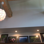 定食・パスタ かたぎりさん - 店内の天井