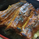 炭焼うなぎ 加茂 - 