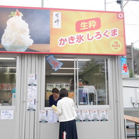 生粋 - 