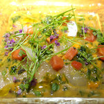 ドディチ・マッジョ - 