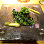 ドディチ・マッジョ - 