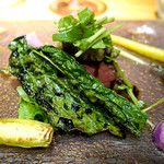 ドディチ・マッジョ - 