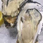 ビストロ ティアボ - 