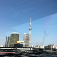 浅草むぎとろ 本店 - 