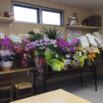 手打ちうどん 上田 - たくさんの祝花。