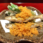 二条城ふる田 - 2】揚物:本モロコ こしあぶら タラの芽 ぜんまい 自家製カラスミ和え(2017.4月)