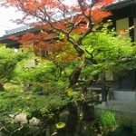 そば蔵 谷川 - きれいなお庭 5月に紅葉