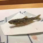 銀座 すし四季 - 