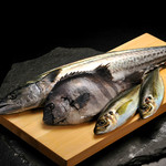 Sushi Katsu - 新線鮮魚