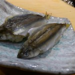 Sushi Katsu - 雉アユ寿司
