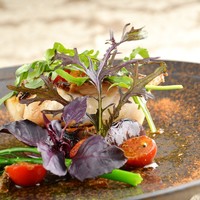 師崎産 天然 すずきのグリル 奈良大和の丸茄子のロースト添え イタリアンパセリとバターのソース