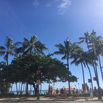 The STREET, A Michael Mina Social House - 