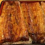 鰻はし本 - うな重 ろ