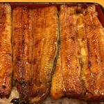 鰻はし本 - うな重 ろ