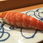 一心鮨 光洋 - あしあかえび  サイズがでかいね