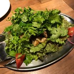 Taishuubisutoronijiru - お肉とパクチーたっぷり煮ジルサラダ