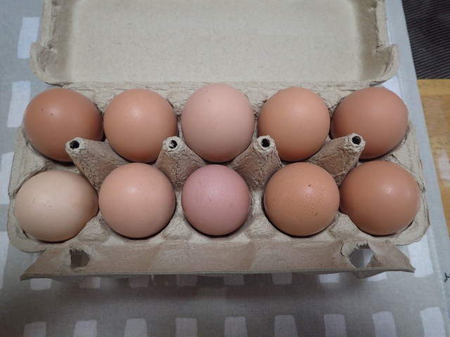 あばしりピースたまご - 北見市その他（その他）の写真