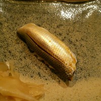 龍寿し - こはだ