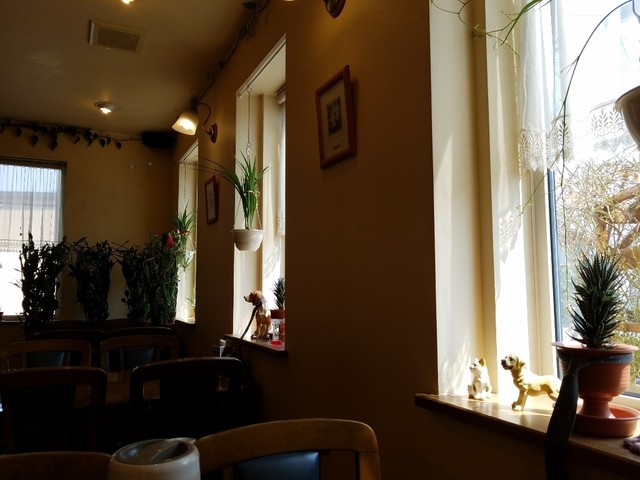 Little Falls photo 5