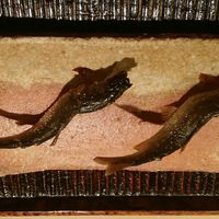 神楽坂 石かわ - 