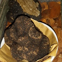 Terres de Truffes, Tokyo - 