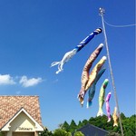 ウシマル - 大きな鯉のぼりが悠々と〜♫