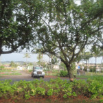 Teddy's Bigger Burgers - 