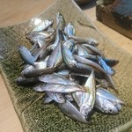 てんぷら　成生 - 